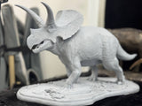 De CLAY Studio Torosaurus latus Model