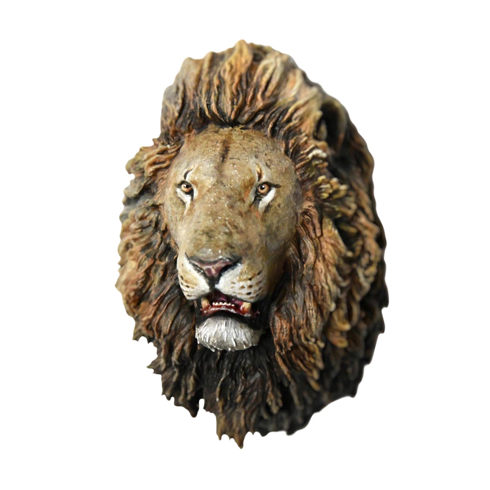 Schildkröten-Serie Tiermodell 