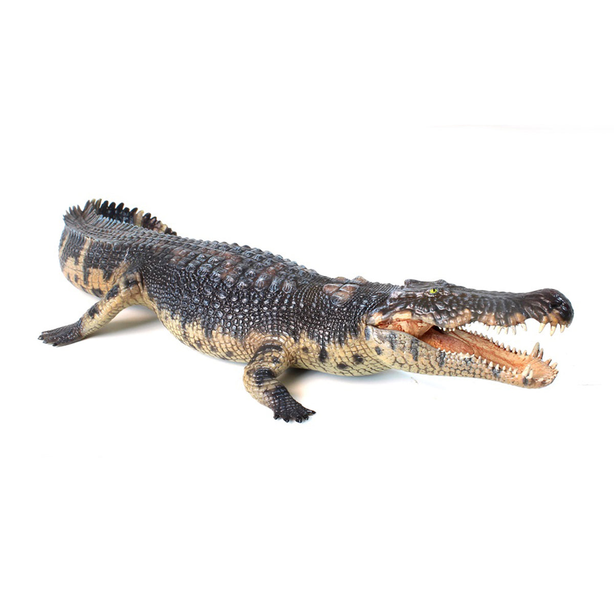 Modèle réduit de Giganotosaurus HAOLONGGOOD à l'échelle 1:35