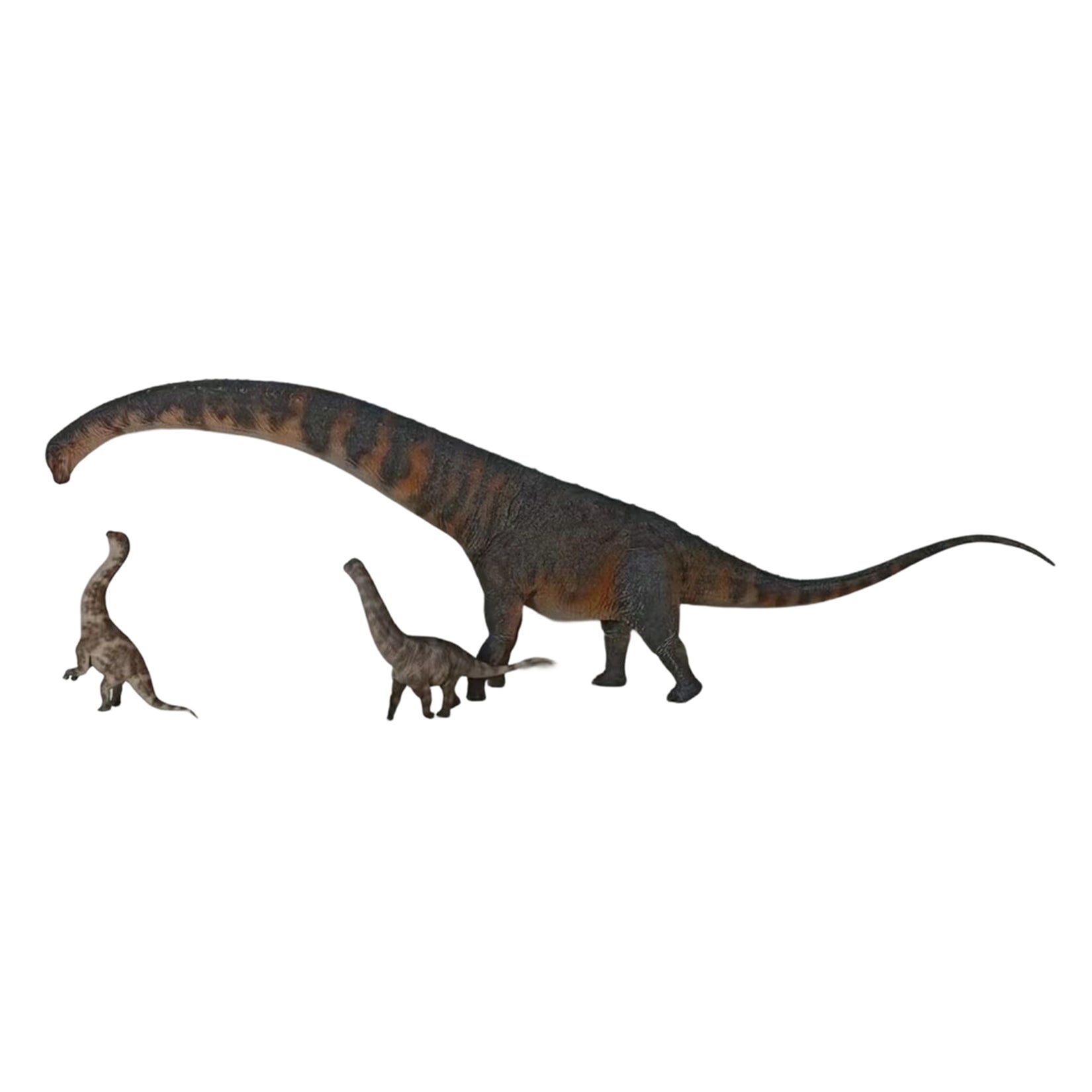 HAOLONGGOOD Sauroposeidon-Modell im Maßstab 1:35