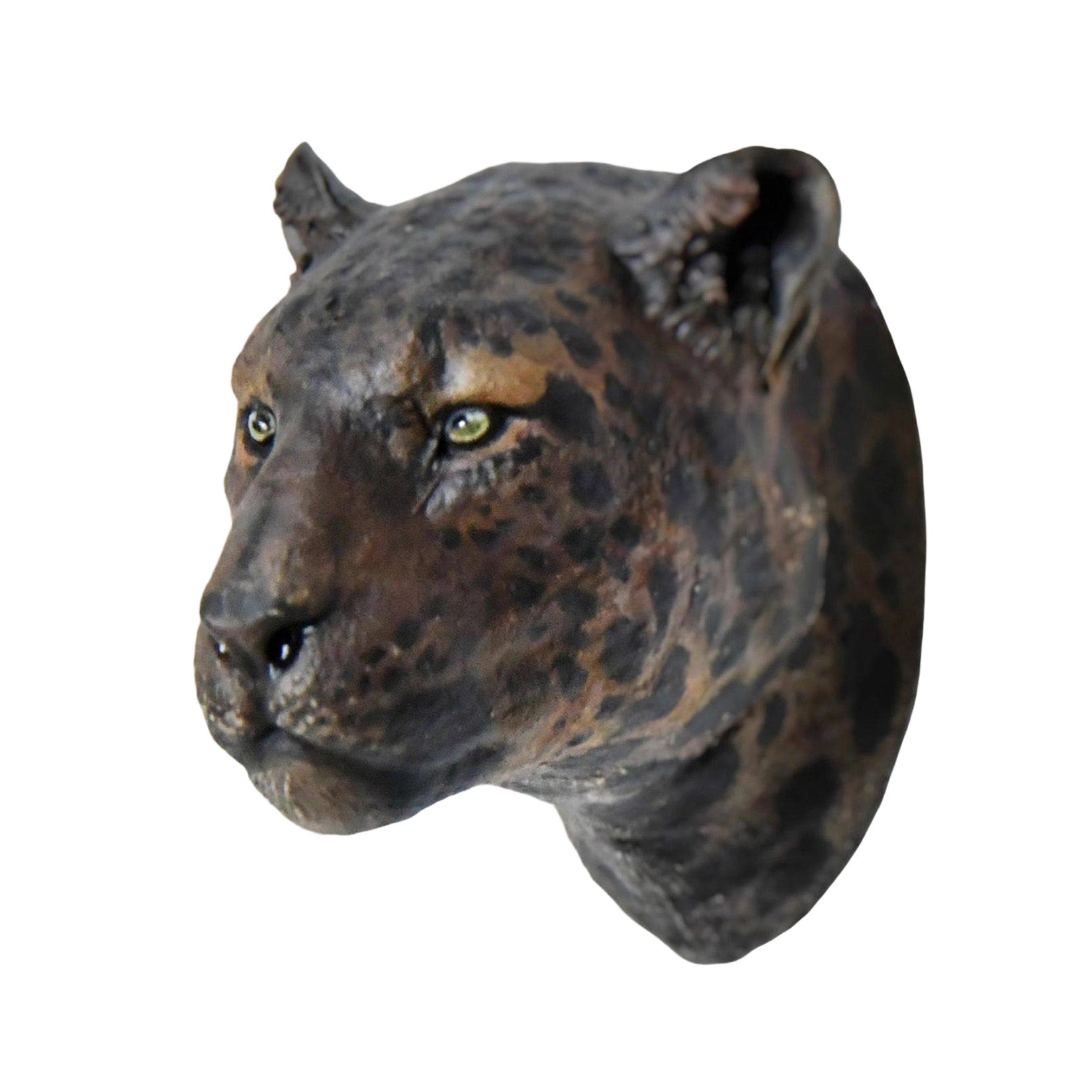 Schildkröten-Serie Tiermodell 