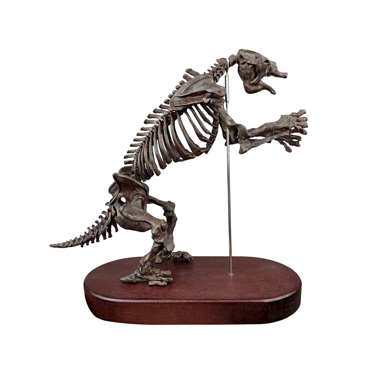 3D Printed 1:20 Scale Megatherium Skeleton Model