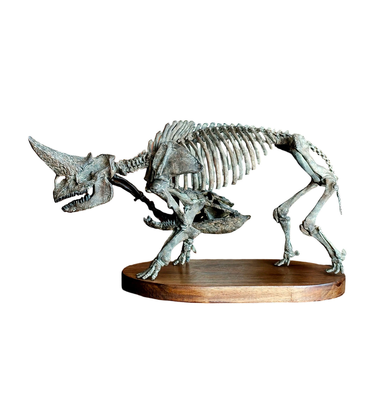 3D Printed 1:18 Scale Arsnoitherium Skeleton Model