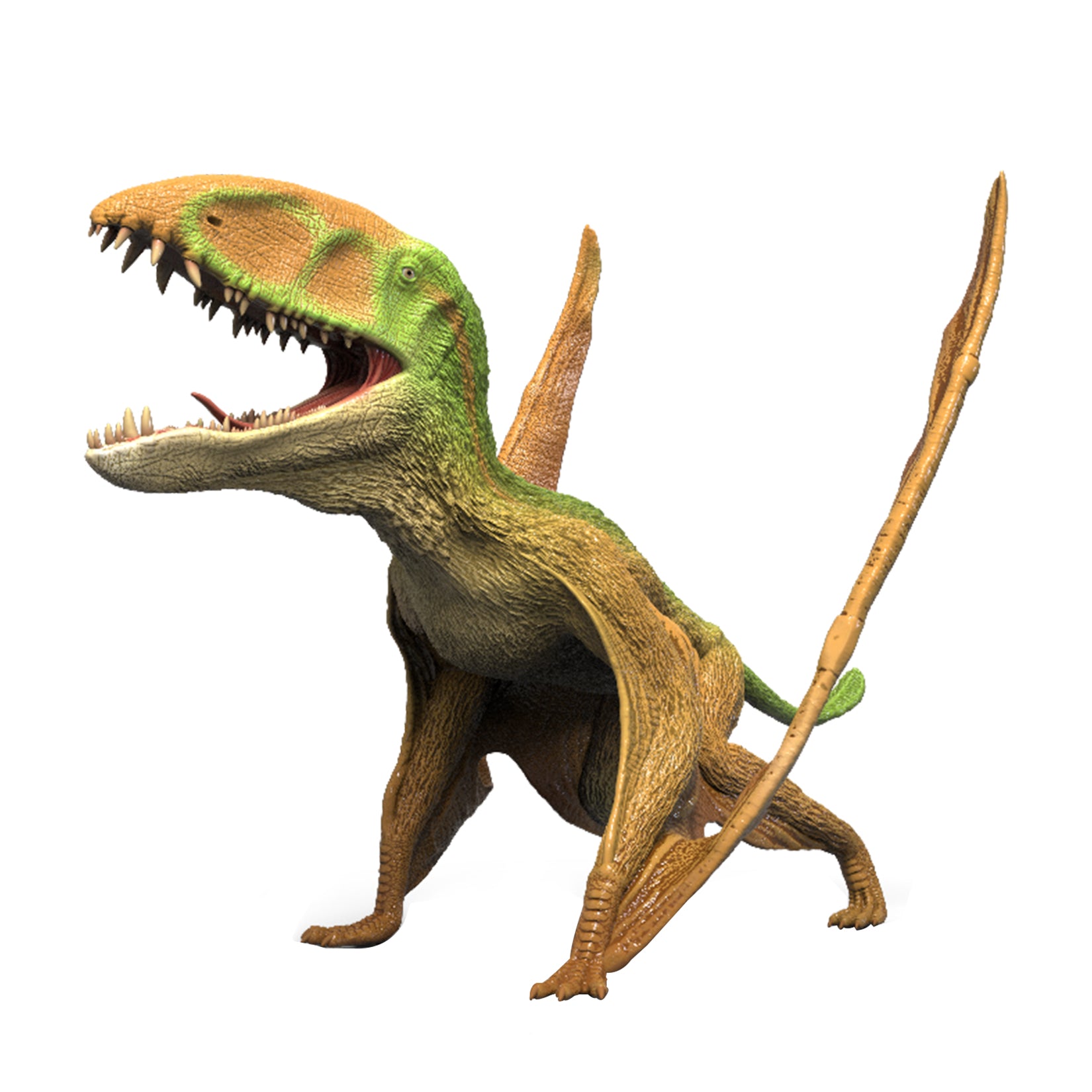 RECUR Dimorphodon Model  Dinosaur Scene Decor