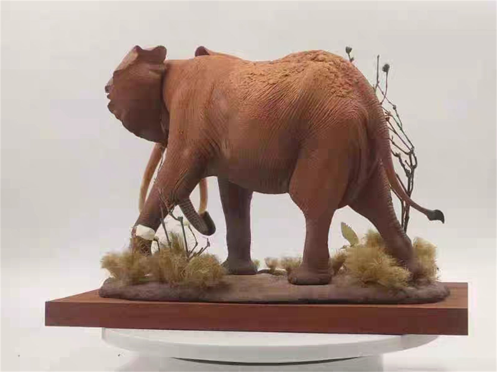 1/18 Scale Elephant Satao Model