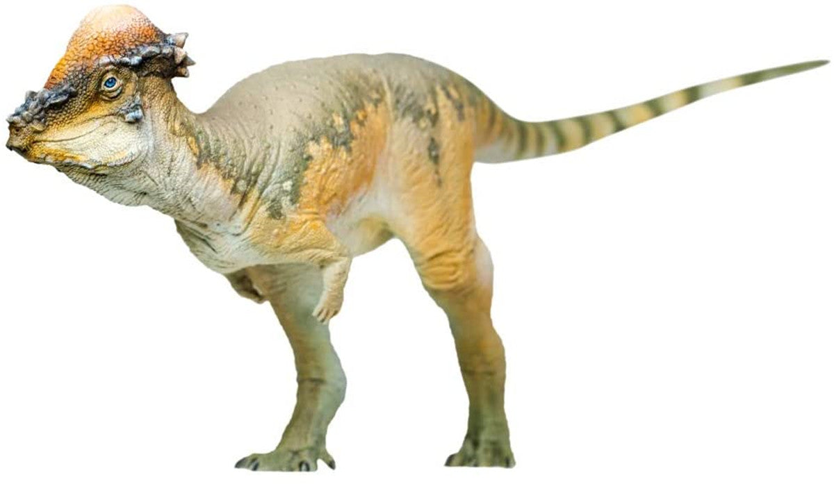 PNSO Pachycephalosaurus Austin Model