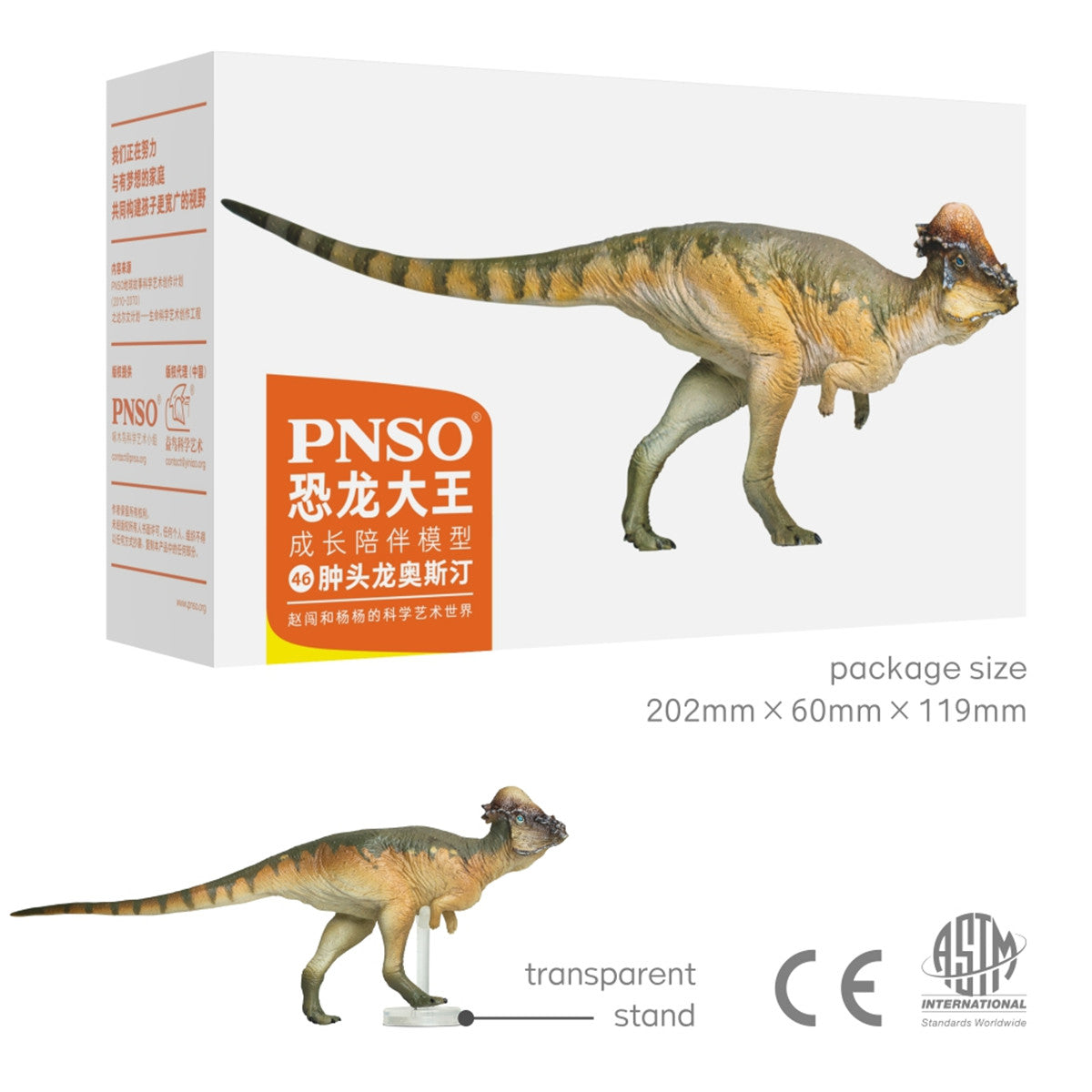 PNSO Pachycephalosaurus Austin Model