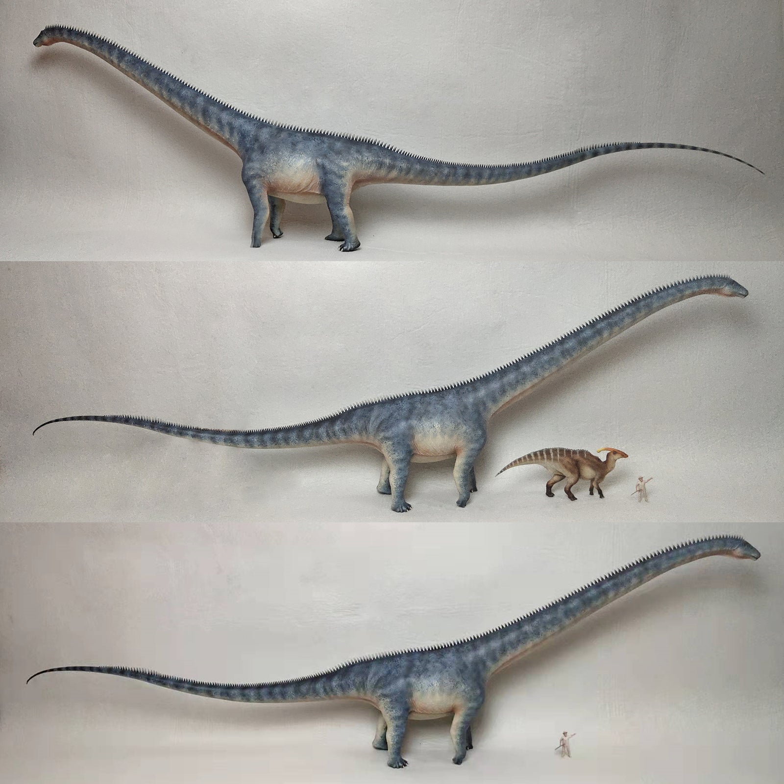 Barosaurus Model Kit