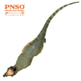 PNSO Pachycephalosaurus Austin Model