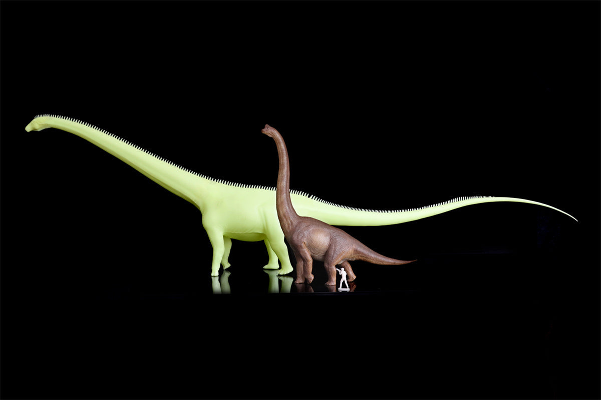Barosaurus Model Kit