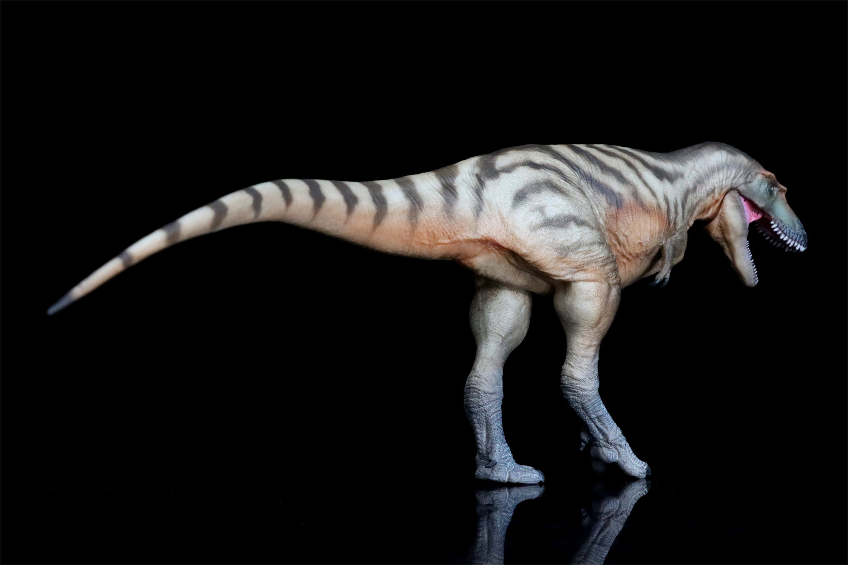 PNSO Gorgosaurus Tristan Model