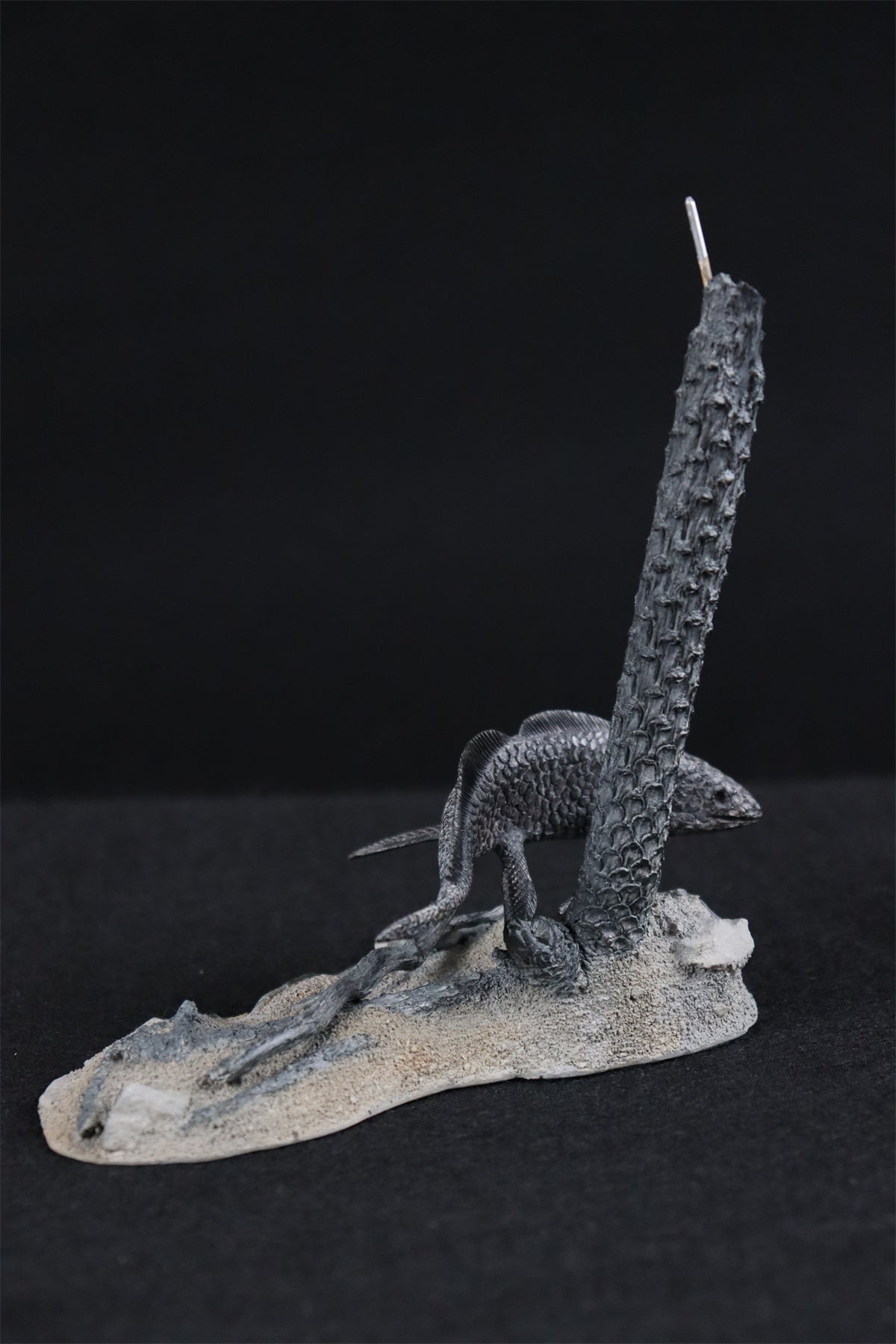 Diplocaulus Fossil Model