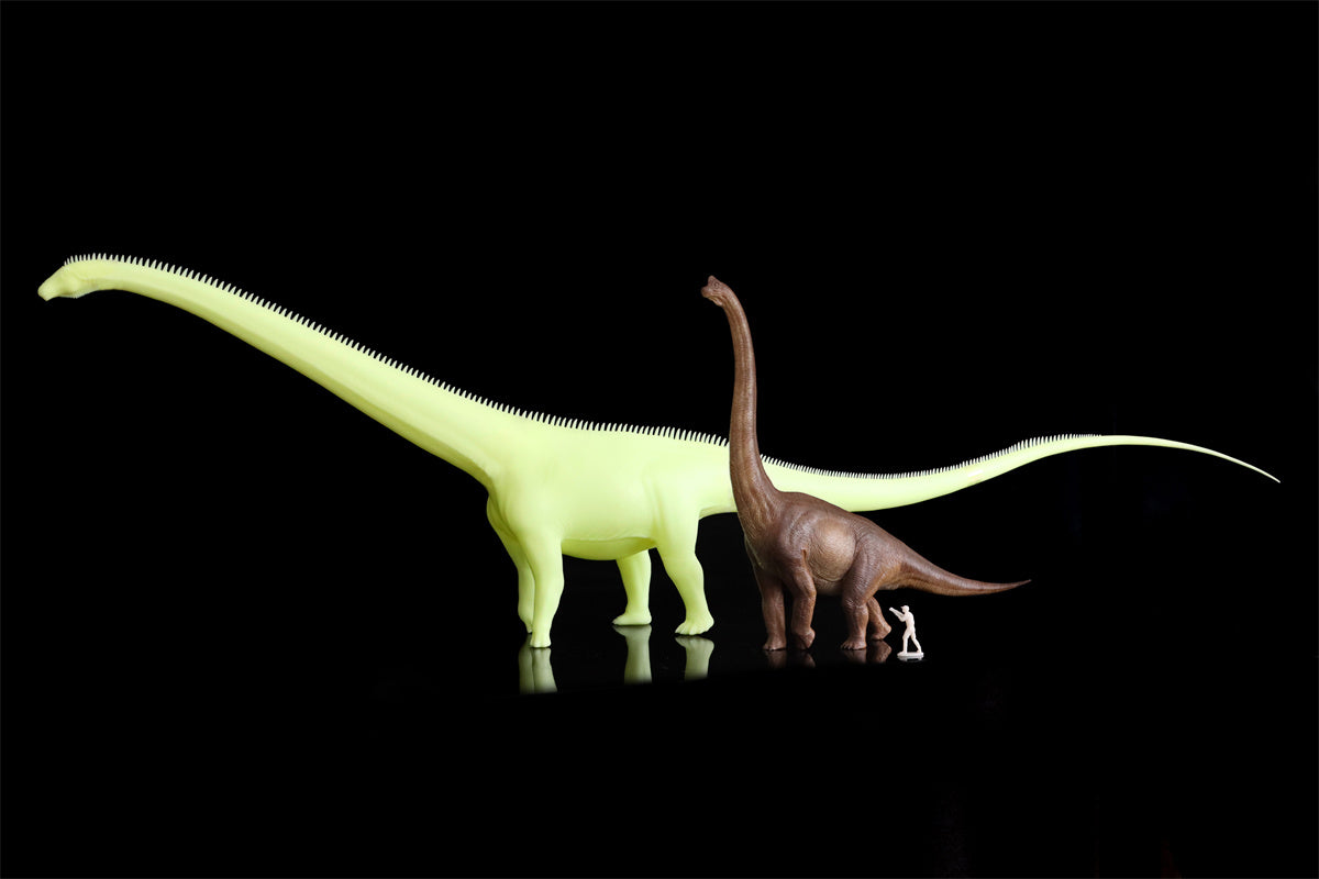 Barosaurus Model Kit