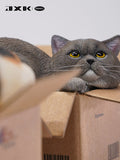 JXK Small The Cat In The Delivery Box 3.0 Model