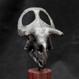 Nasutoceratops titusi Skull Model