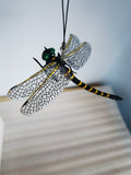 Anotogaster Dragonfly Model