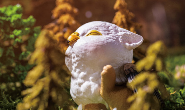 KONGZOO Griffin Model