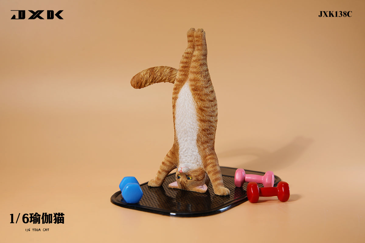 JXK 1/6 Yoga Cat Model