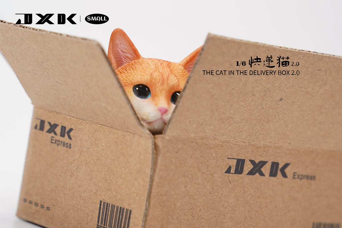 JXK Small The Cat In The Delivery Box 2.0 Model