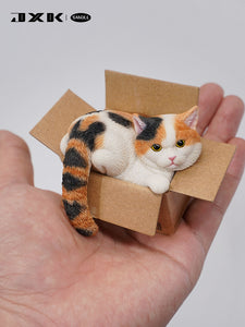 JXK Small The Cat In The Delivery Box 3.0 Model