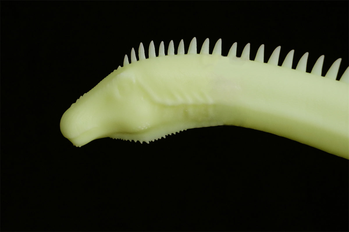 Barosaurus Model Kit