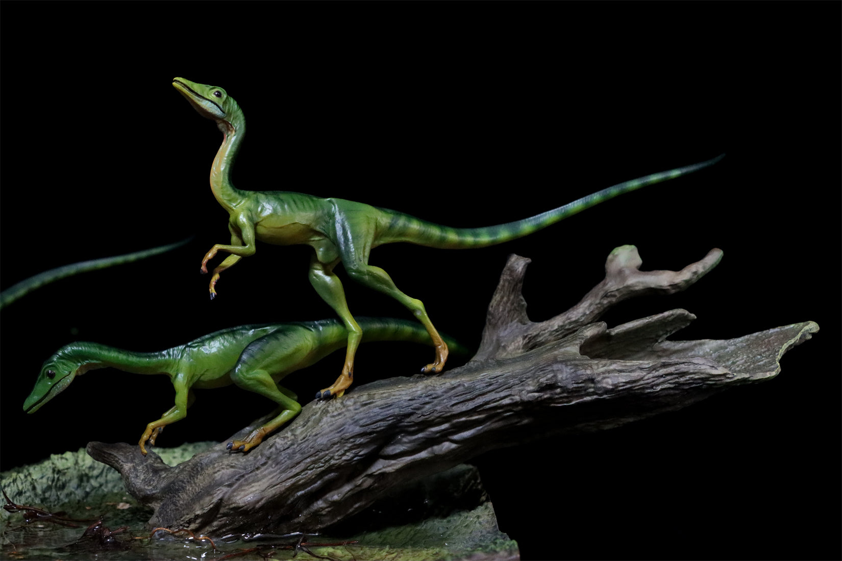 DINO DREAM 1/5 Scale Compsognathus Statue