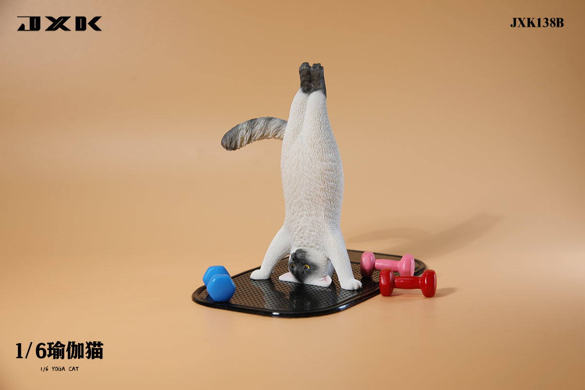 JXK 1/6 Yoga Cat Model