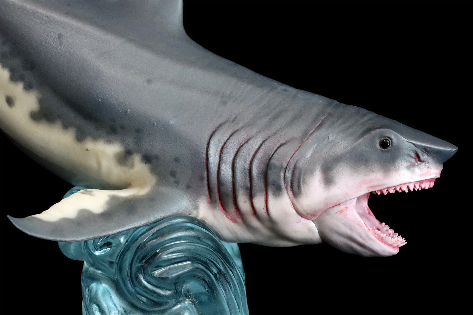 HAOLONGGOOD Megalodon Model