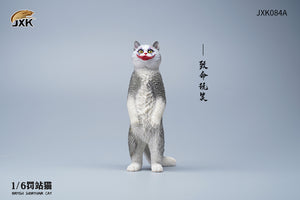 JXK 1/6 British Shorthair Cat