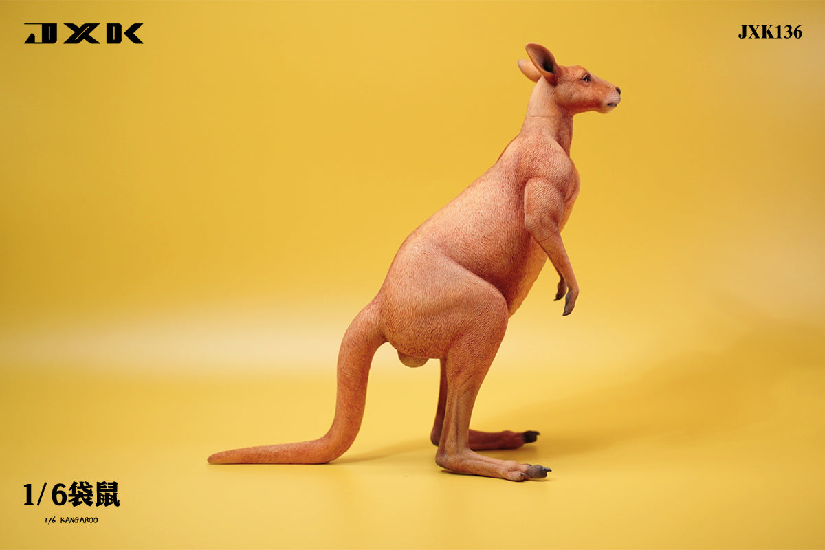 JXK 1/6 Kangaroo Model