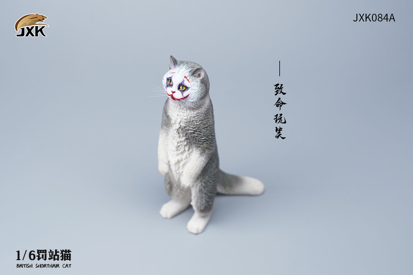 JXK 1/6 British Shorthair Cat