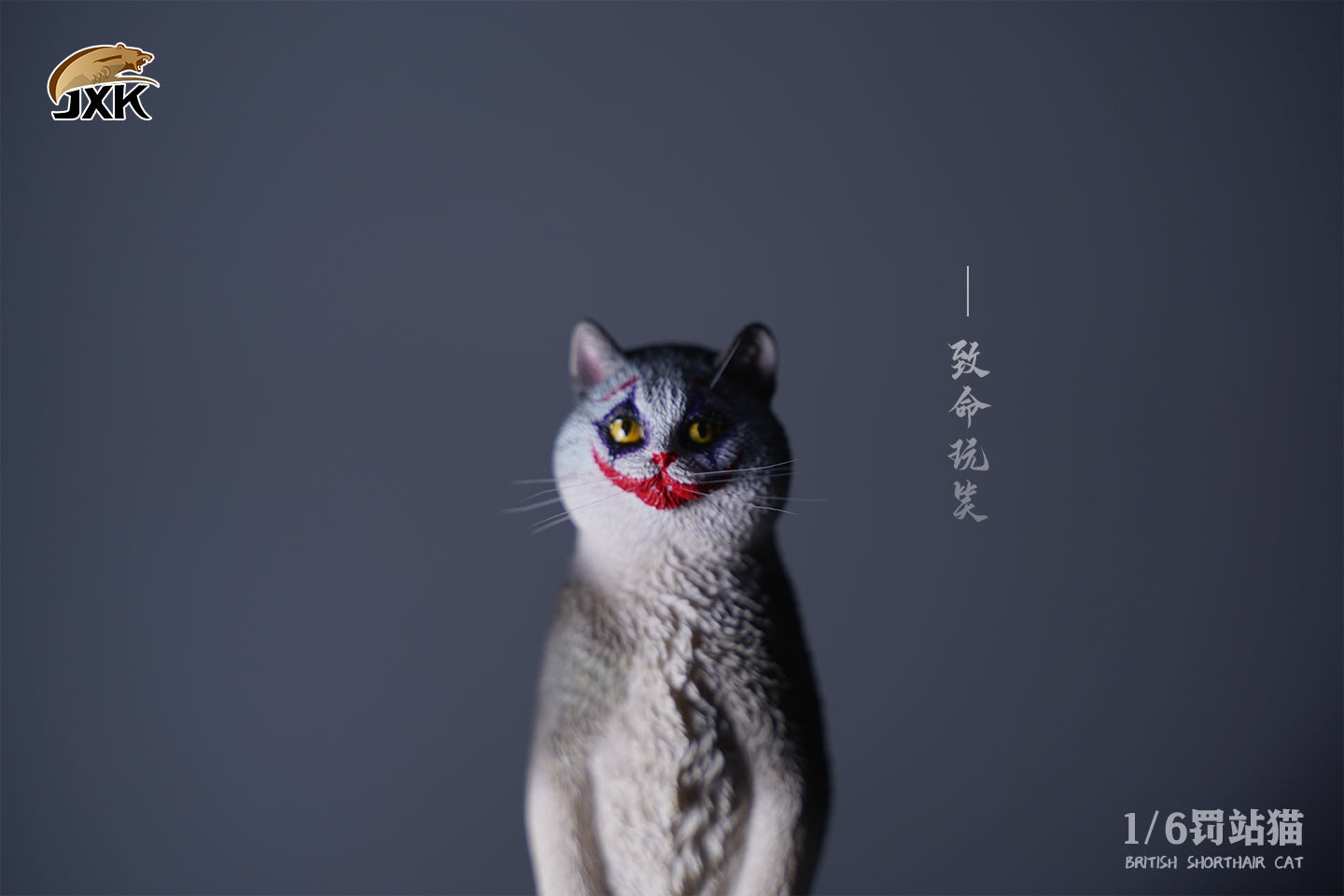 JXK 1/6 British Shorthair Cat