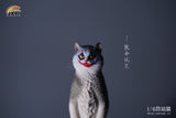 JXK 1/6 British Shorthair Cat