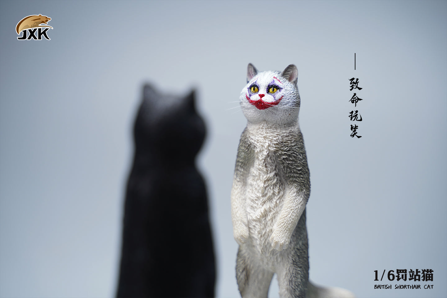 JXK 1/6 British Shorthair Cat