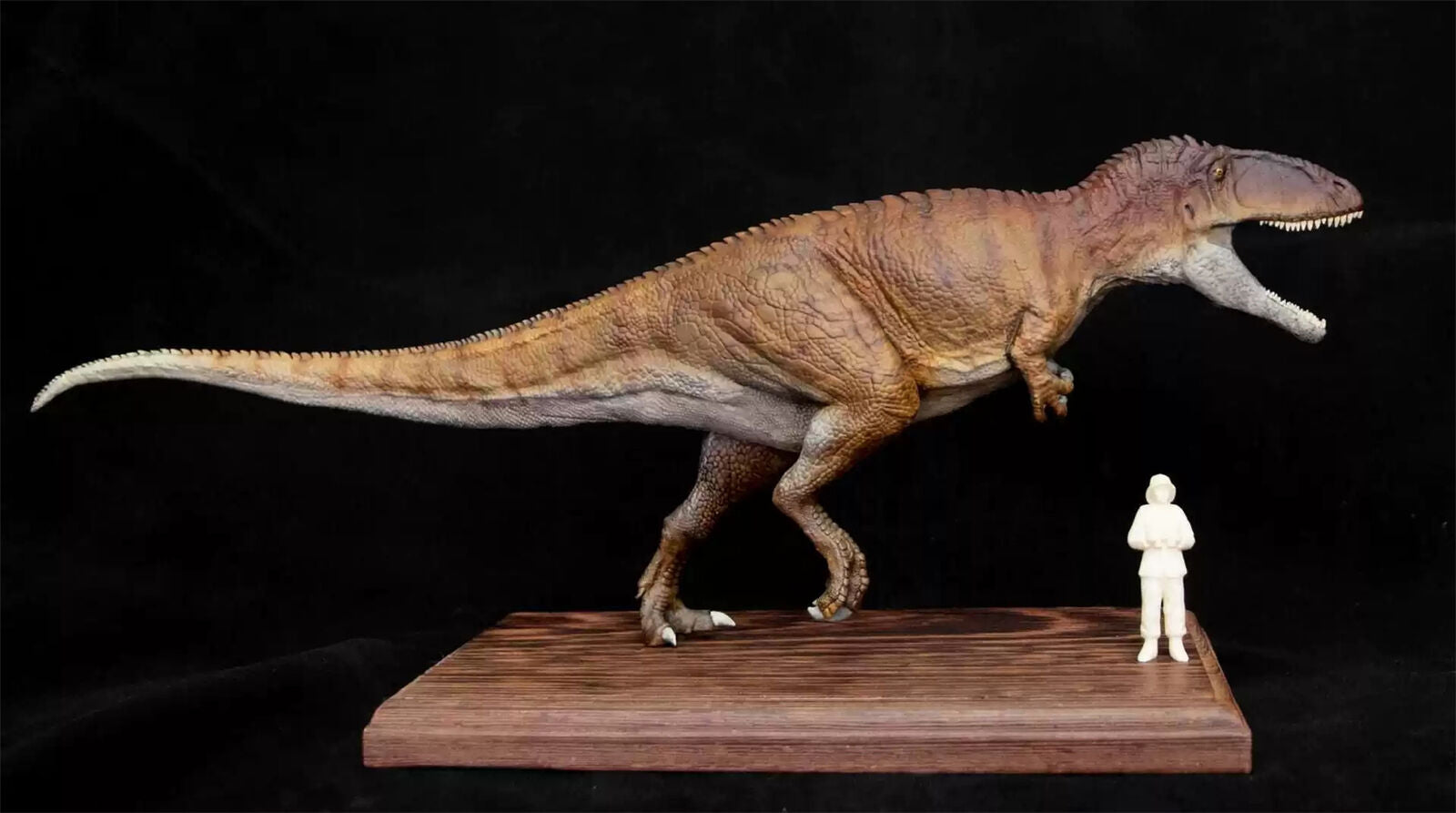 VWUVWU 1/35 Carcharodontosaurus Model