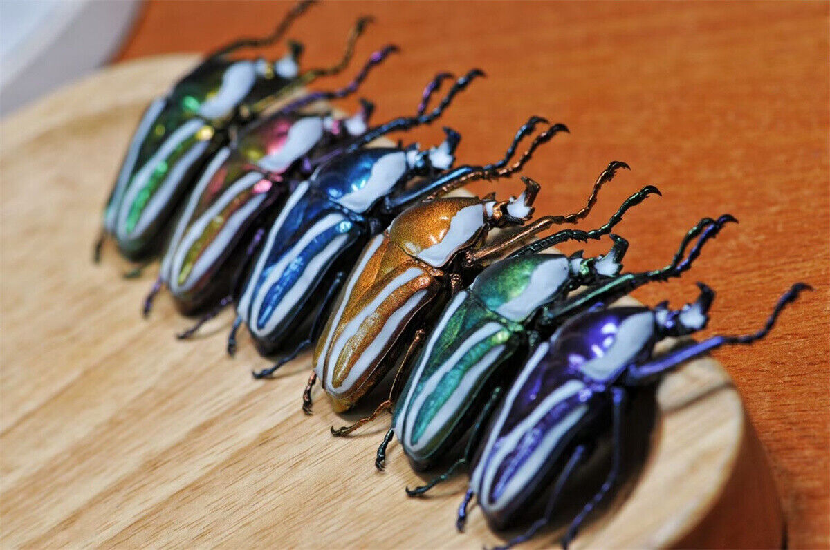 Colorful Insect Model