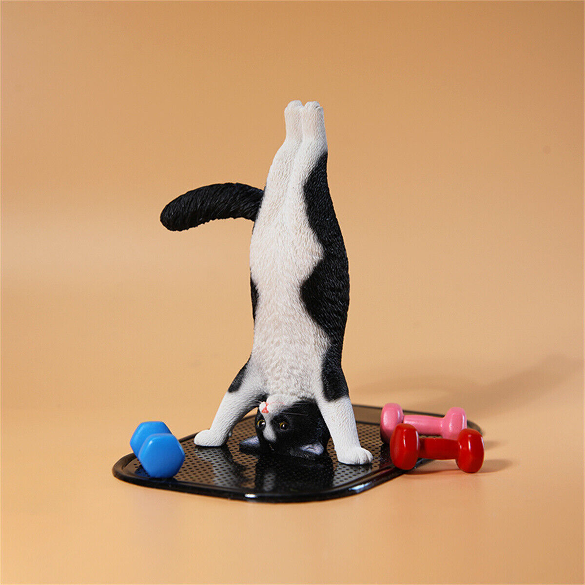 JXK 1/6 Yoga Cat Model