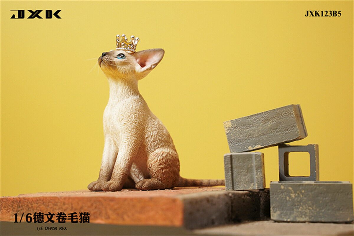 JXK 1/6 Devon Rex Model