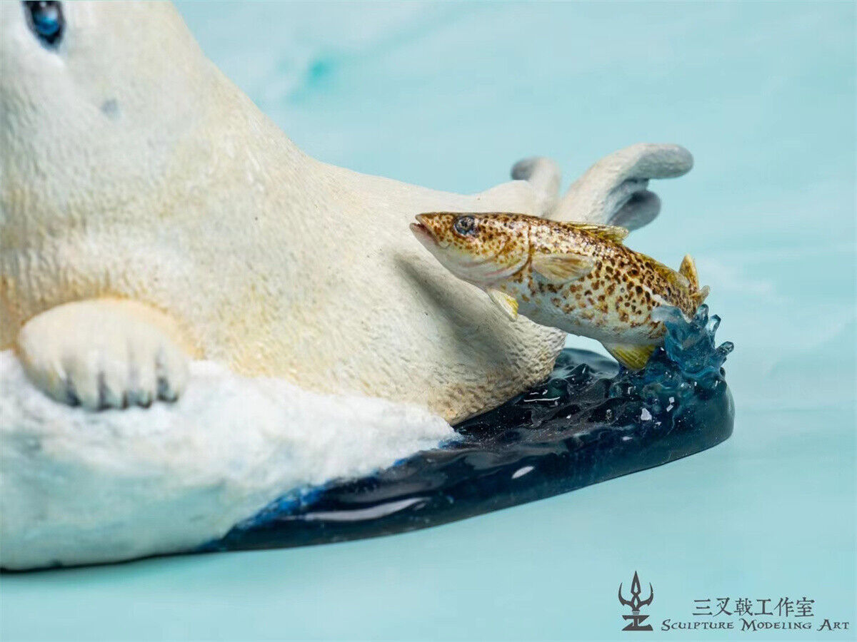 Seal Play With Gadus Model