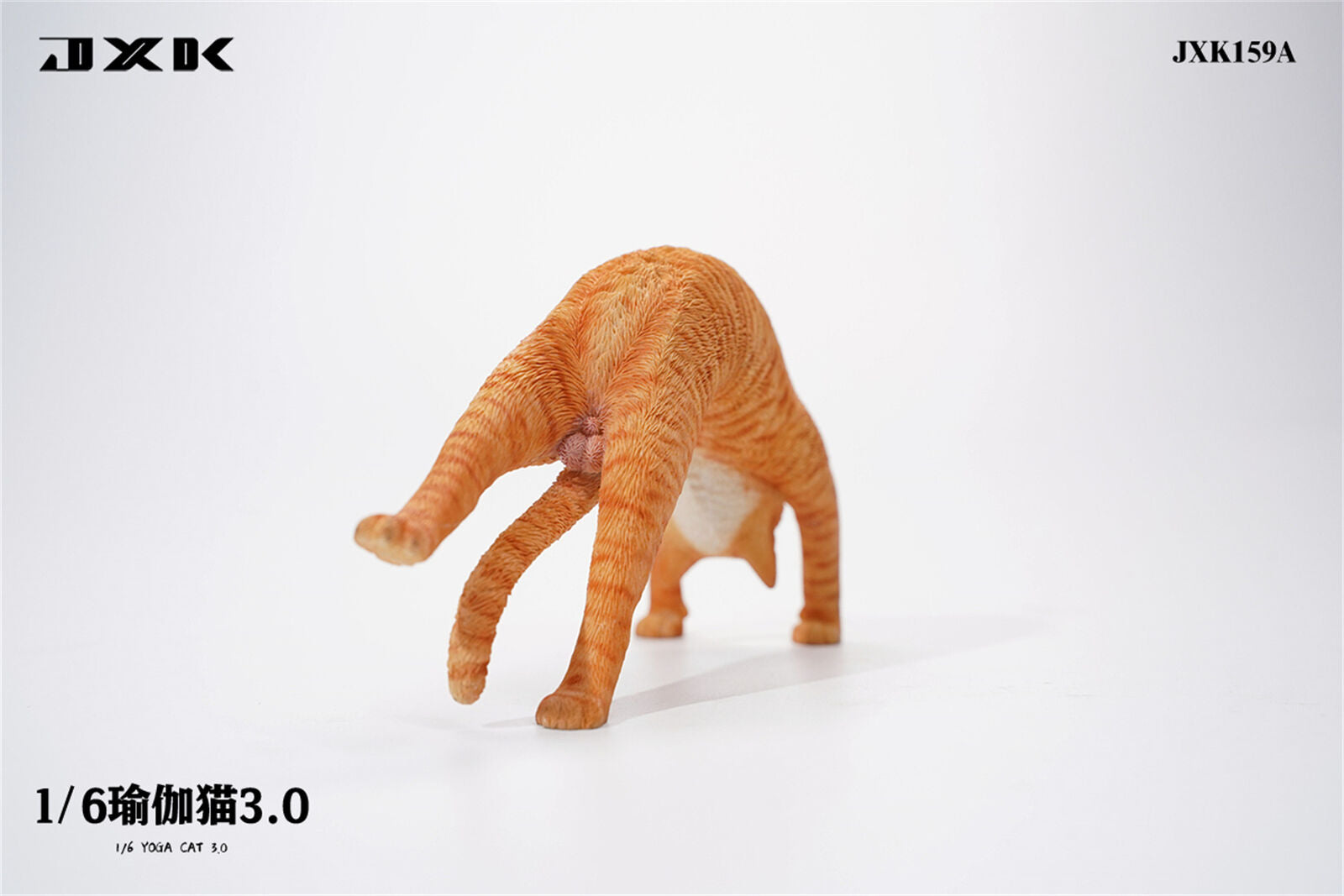 JXK 1/6 Yoga Cat 3.0 Model
