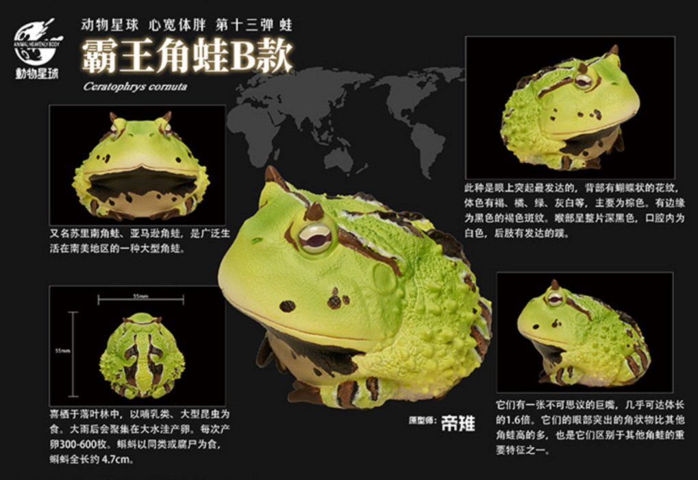 Animal Planet 13 Frog Blind Box Model