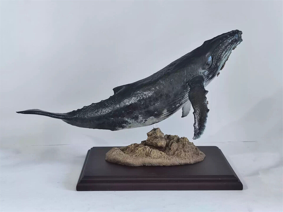 Xifu Studio 1/35 Humpback Whale Model