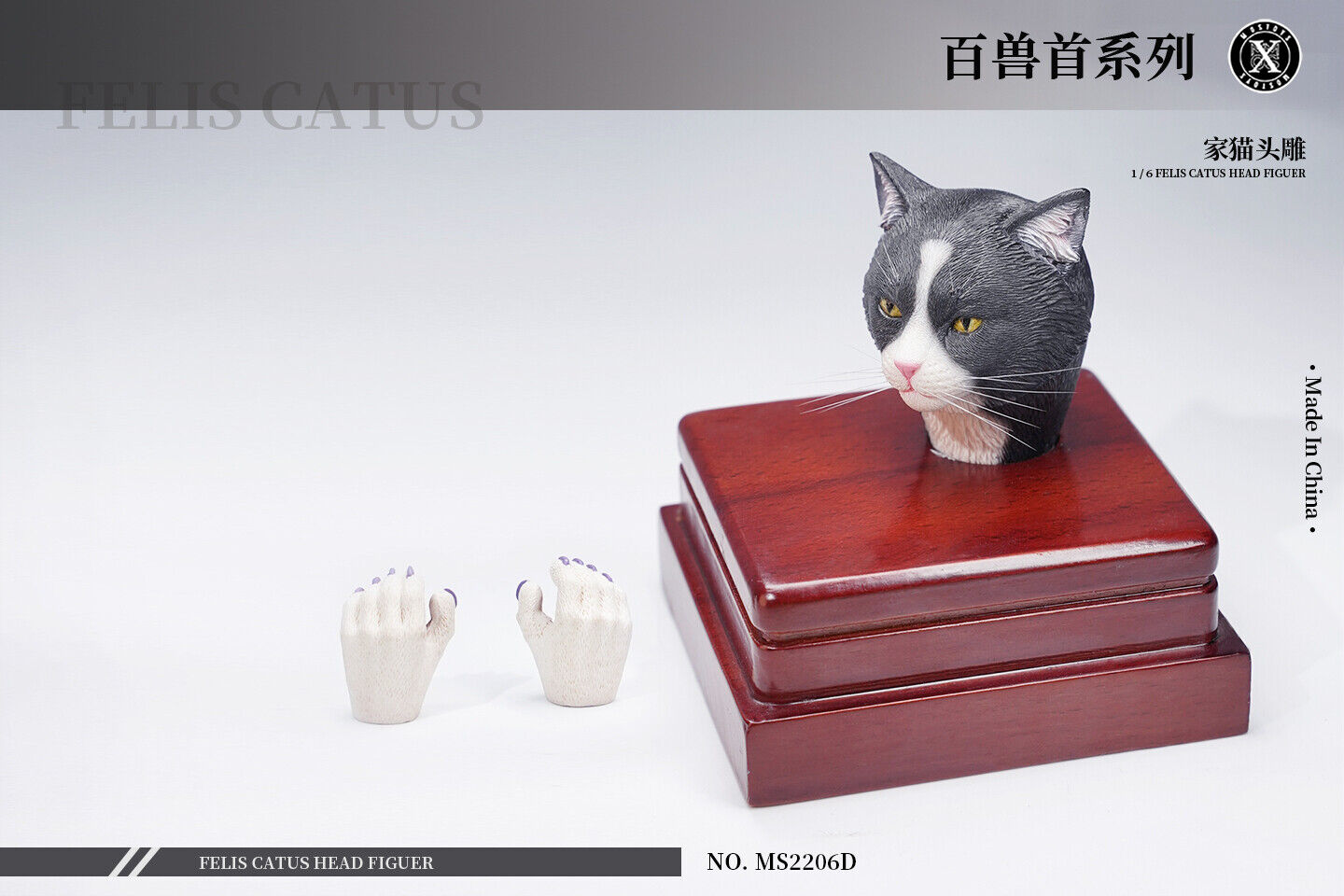Mostoys 1/6 Felis Catus Head Figure