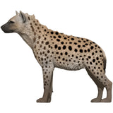 Dafei Spotted Hyaena Model