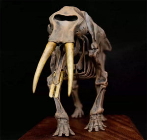 VWUVWU 1/20 Gomphotherium Skeleton Model
