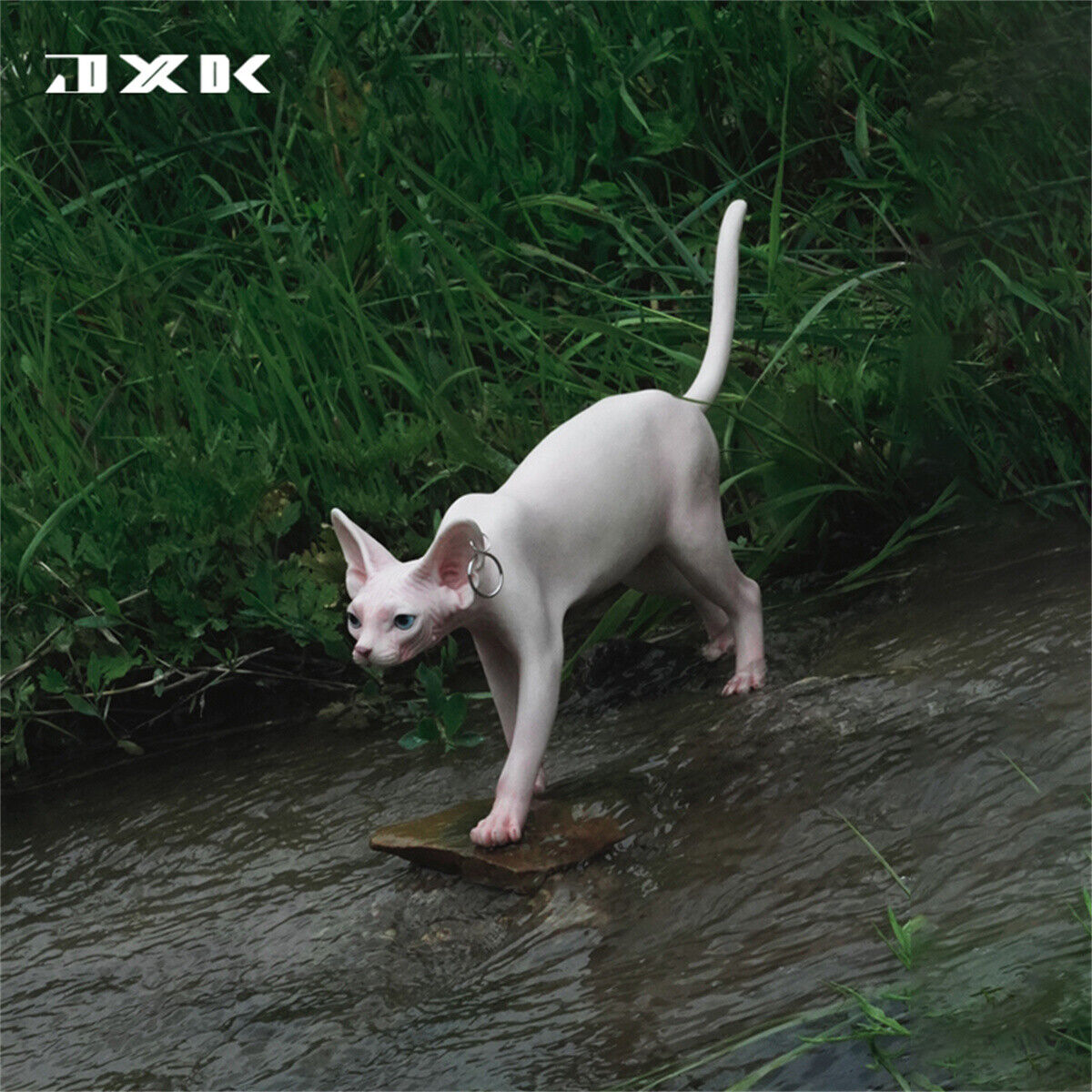 JXK 1/3 Canadian Hairless Model