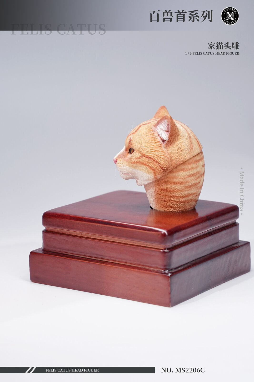 Mostoys 1/6 Felis Catus Head Figure