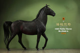 Mr.z 1/6 Hailar Sanhe Horse Model