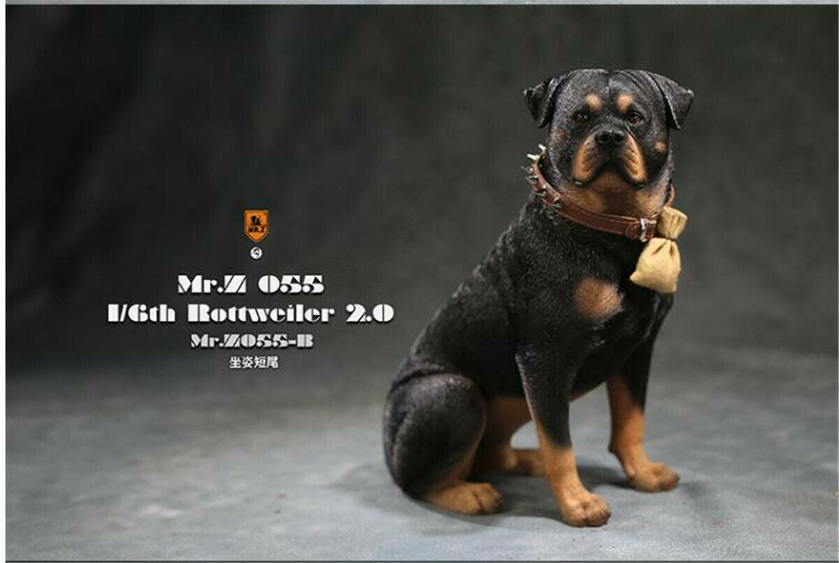 Mr.z 1/6 Rottweiler Figure – Lana Time Shop