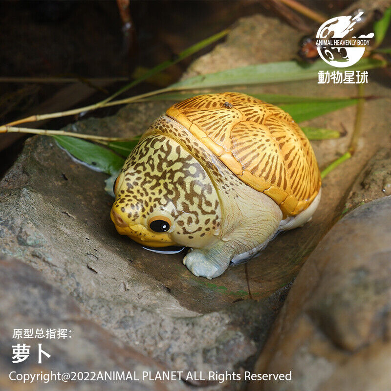 Animal Planet 08 Turtle Blind Box Model